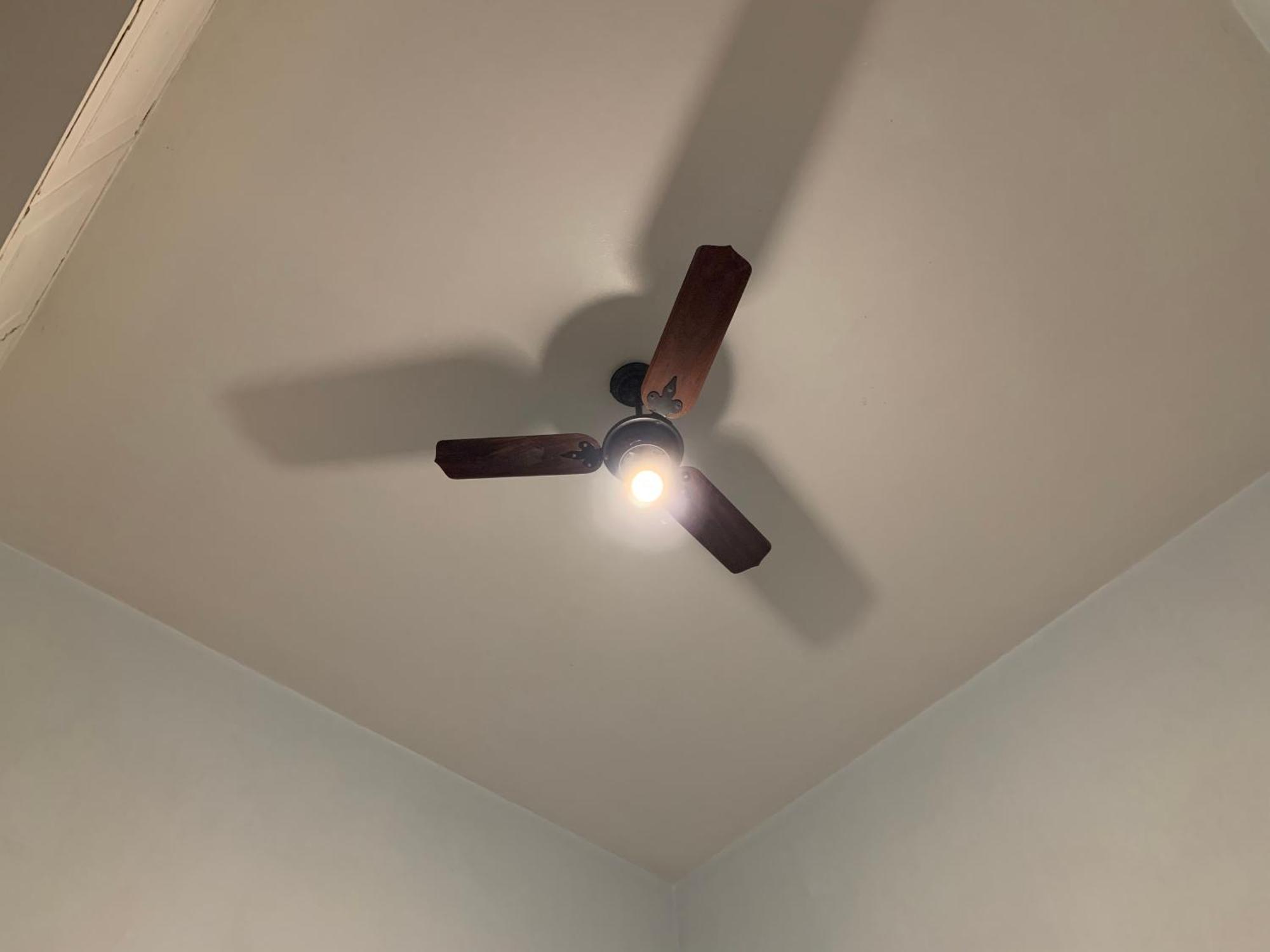 Single Room with Shared Shower and Toilet,1543927483:JPEG