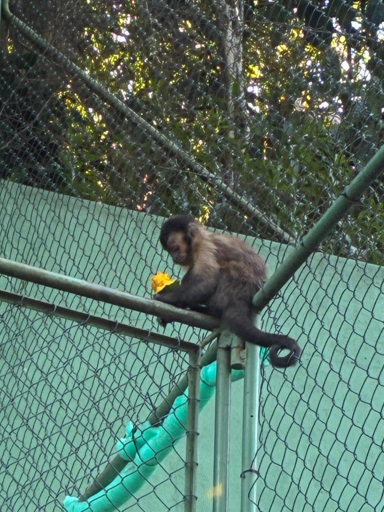 Presidential Suite,1517398045:JPEG