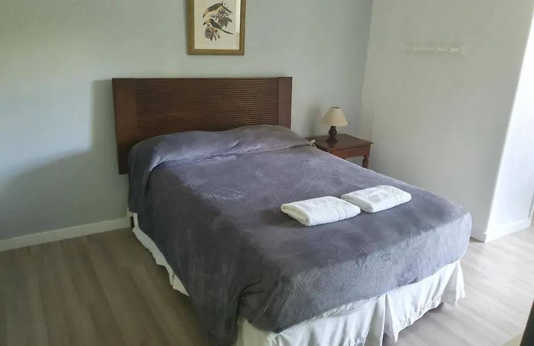 Jucati Season Apartments-1
