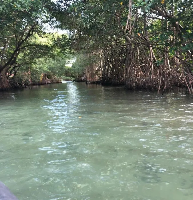 Paraiso Na Ilha Da Gigoia-1