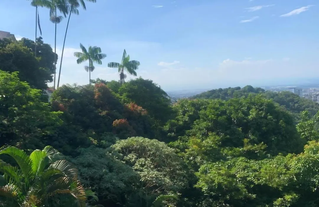 Santa Teresa Junto A Natureza-1