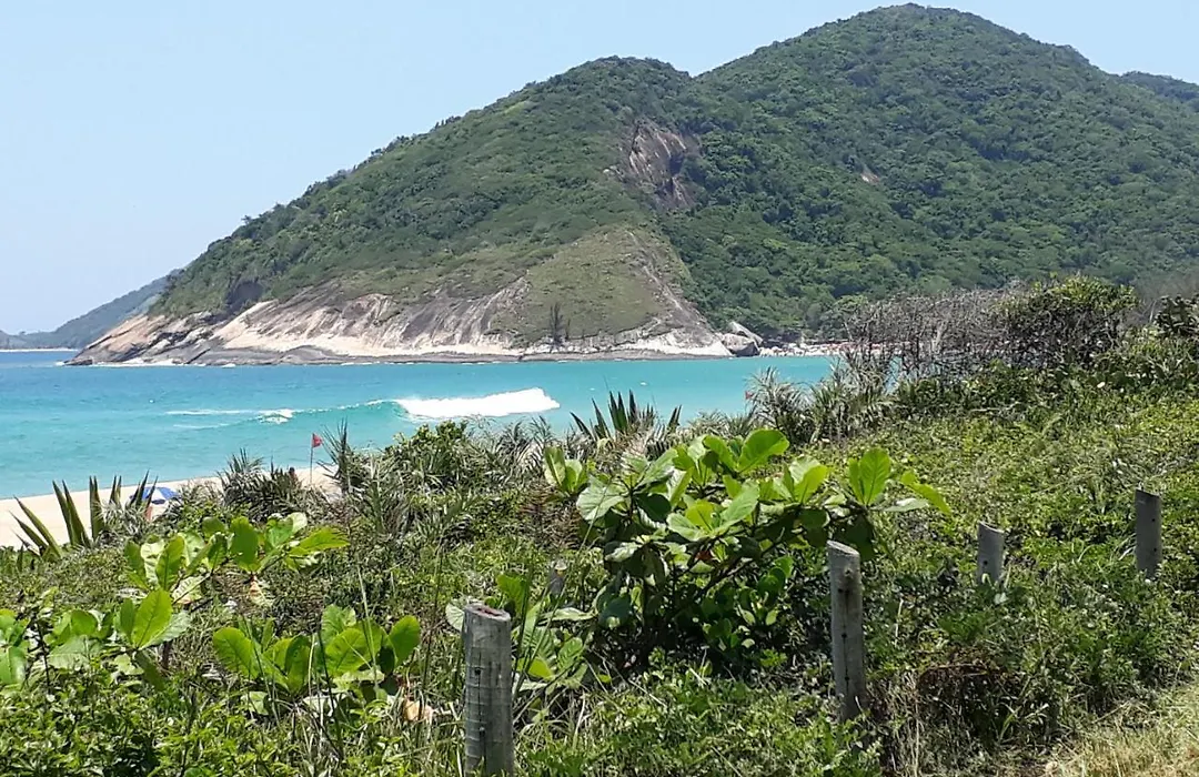 Floresta Tropical-1