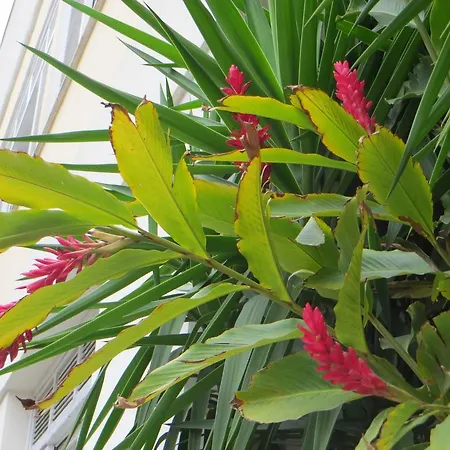 Nature Paradise Boutique Hotel-3