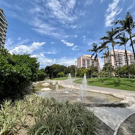 Verano Stay Flat Barra Olimpica-3