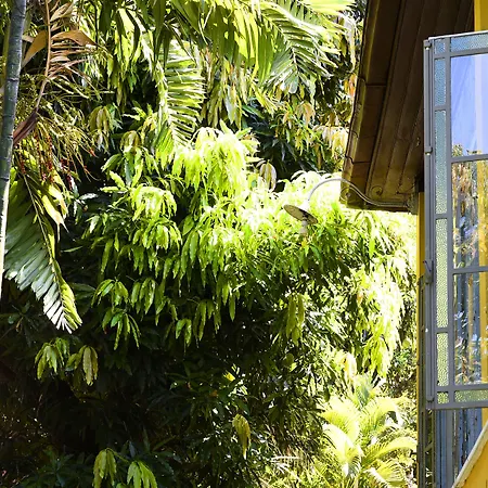 Casa Amarelo-2