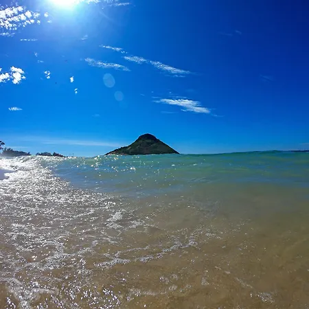 Longboard Paradise Suites-2