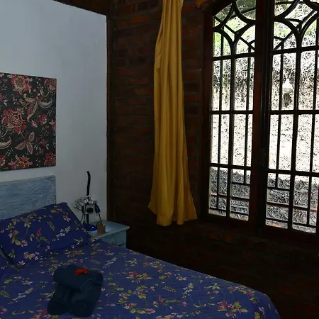 Vilanossa Bed And Breakfast-2