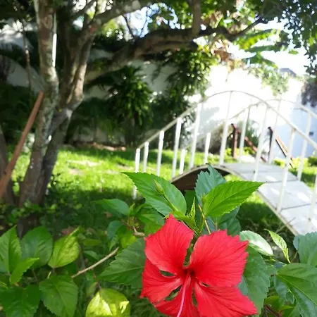 Secret Recreio-3