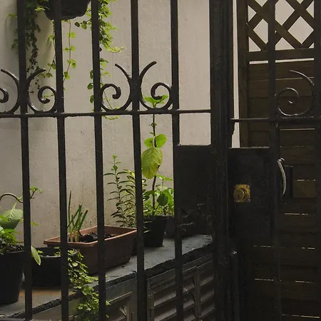 The Backpacker Cat Hostel-2