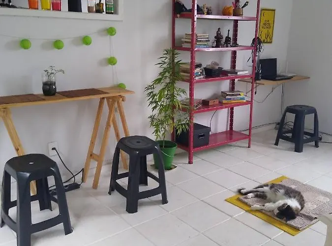 Apartamento Encantador Em Paqueta Rio de Janeiro