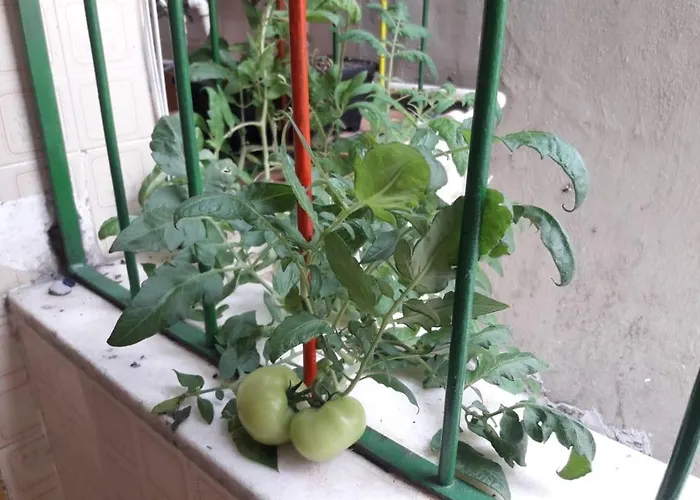 Appartement Sobrado à Rio de Janeiro