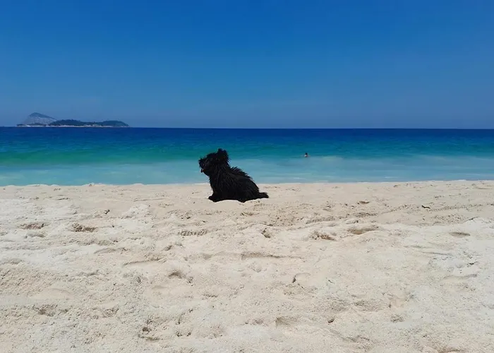 charmosa cobertura em Ipanema na quadra da praia de quarto, sala, terraço e sauna