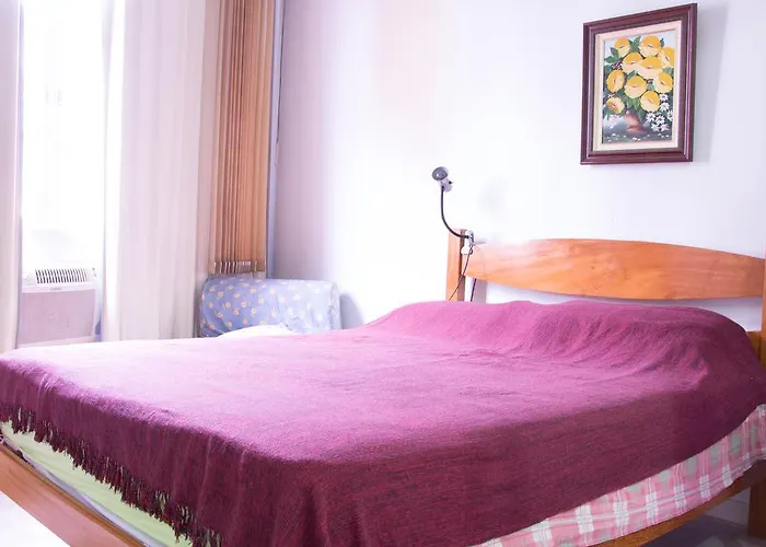 Appartement Apartamento Edificio Master à Rio de Janeiro acceptant les animaux